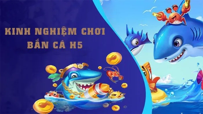 Kinh nghiệm khi tham gia