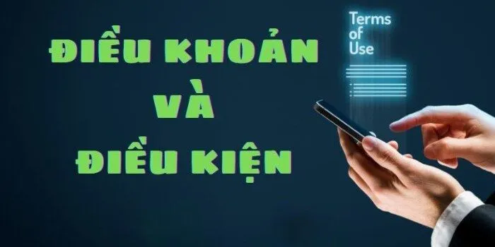 Quyền và nghĩa vụ của nhà cái